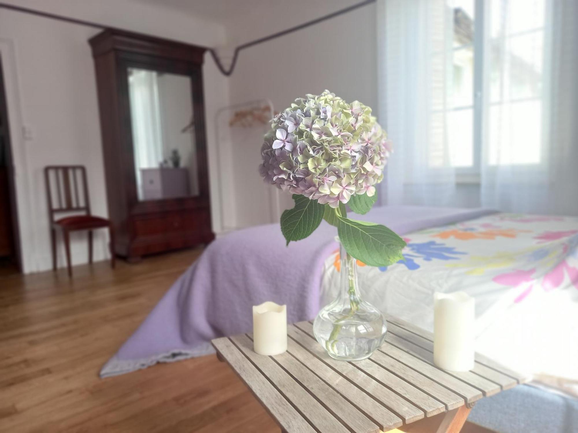Maison Violette En Berry エグランド エクステリア 写真